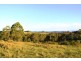 Lambs Valley NSW 2335