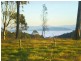 Lambs Valley NSW 2335