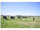 East Maitland NSW 2323