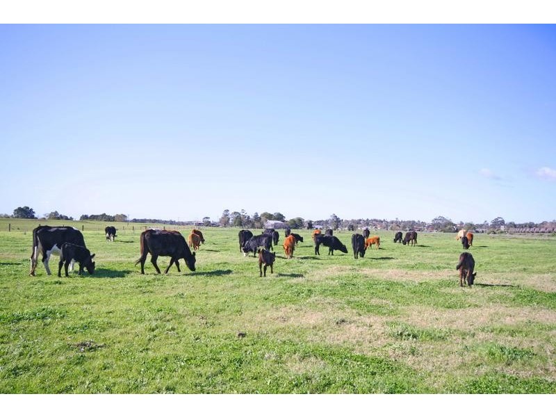 East Maitland NSW 2323