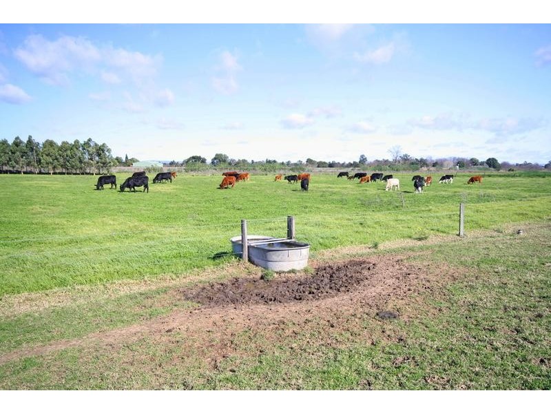 East Maitland NSW 2323