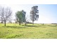 East Maitland NSW 2323