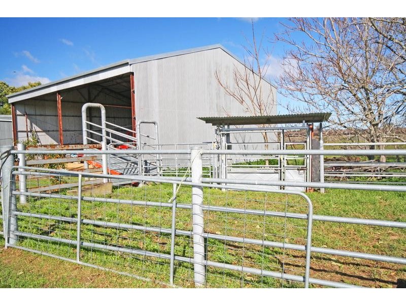 East Maitland NSW 2323