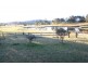 Martins Creek NSW 2420