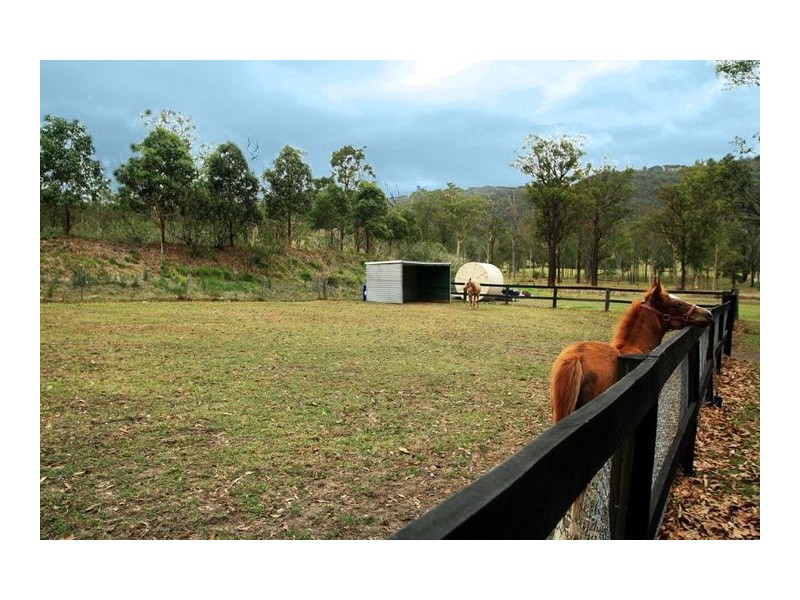 Paterson NSW 2421