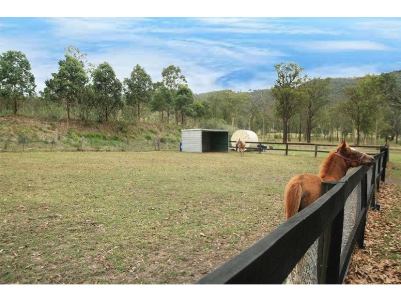 Paterson NSW 2421