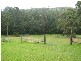 Clarence Town NSW 2321