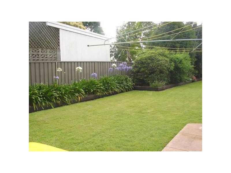Bolwarra Heights NSW 2320