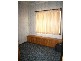 Maitland NSW 2320