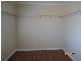 Maitland NSW 2320