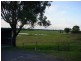 Maitland NSW 2320