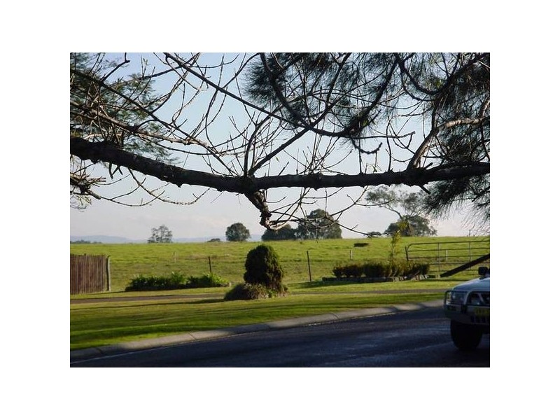 Bolwarra Heights NSW 2320