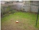 Maitland NSW 2320