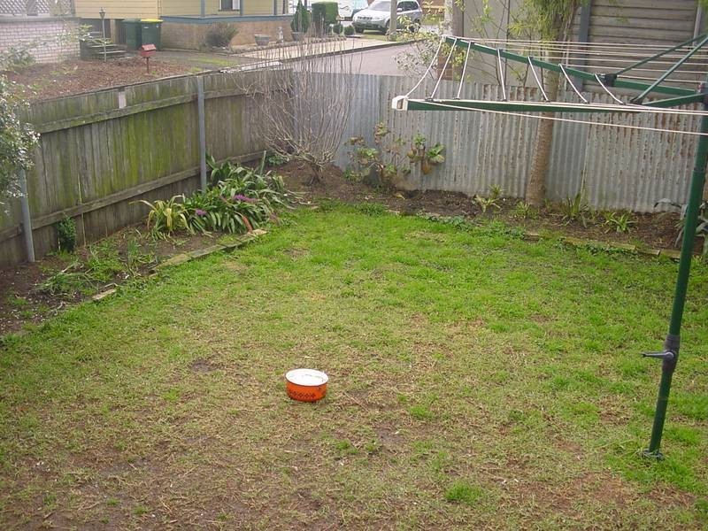 Maitland NSW 2320