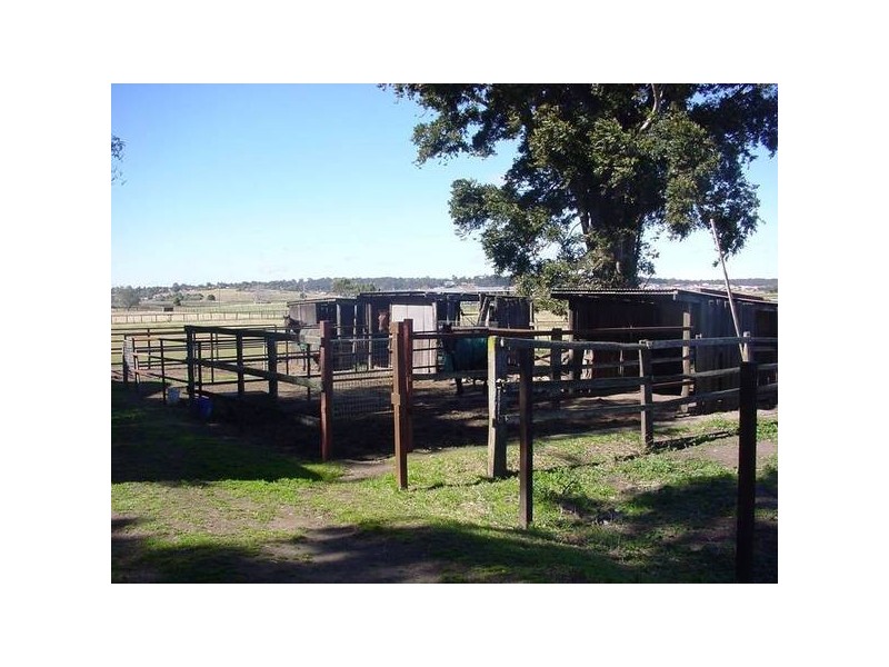 20 Trappaud Road, Louth Park NSW 2320