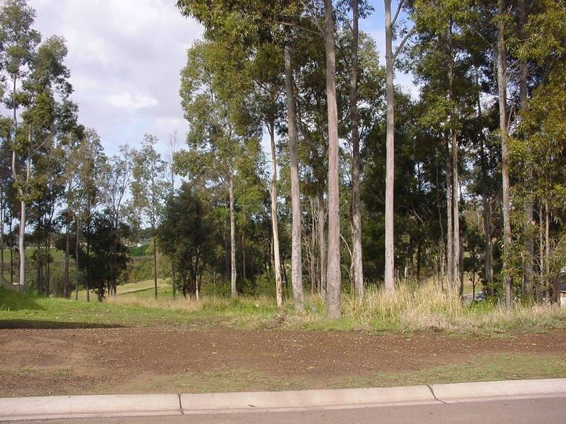 79 Squadron Crescent, Rutherford NSW 2320