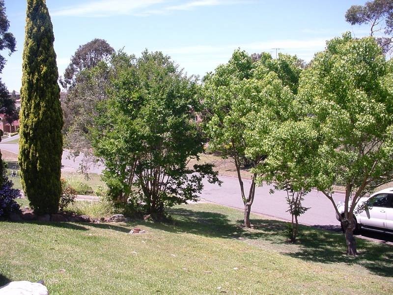 Bolwarra Heights NSW 2320