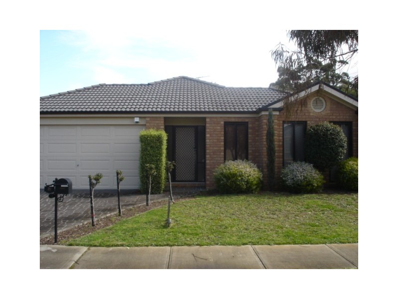 31 Glenshee Drive, Lynbrook VIC 3975