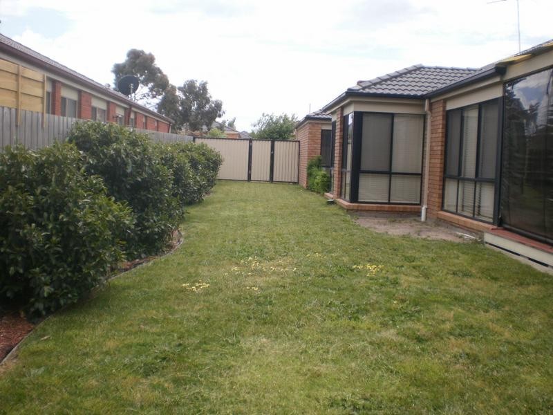 31 Glenshee Drive, Lynbrook VIC 3975