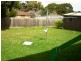 Hampton Park VIC 3976