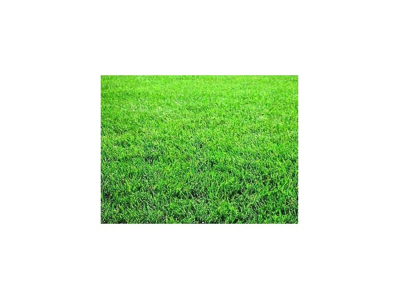 8 Elliott Parade, Lynbrook VIC 3975