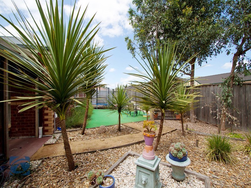 10 Rowcroft Avenue, Lynbrook VIC 3975