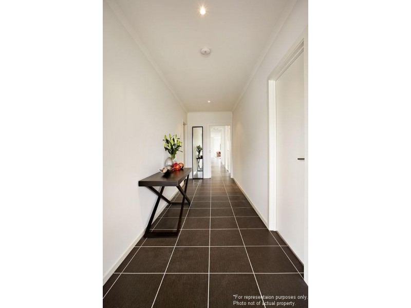 Lynbrook VIC 3975