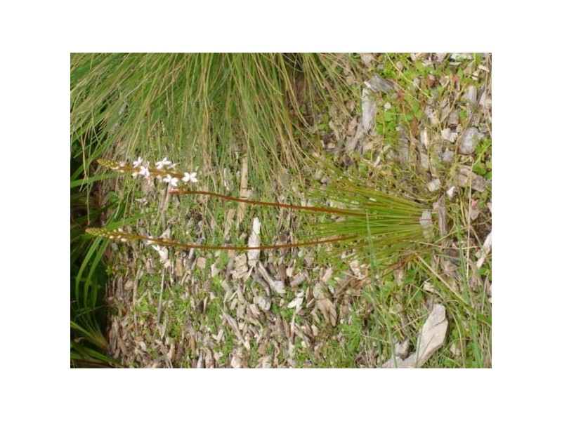 Glen Court, Hampton Park VIC 3976