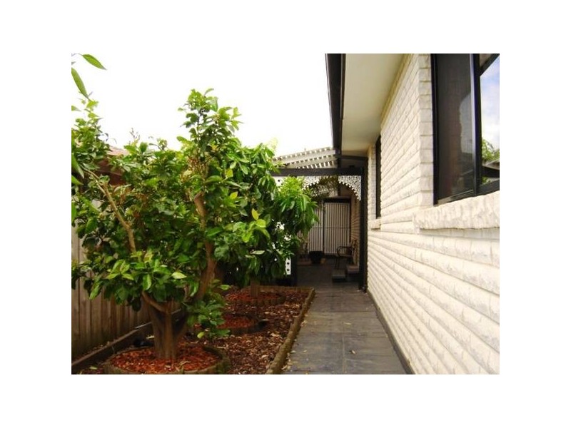 65 Marson Crescent, Hallam VIC 3803