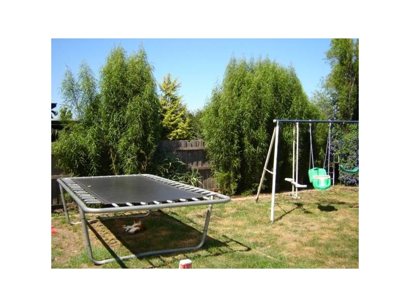 56 Fordholm Road, Hampton Park VIC 3976