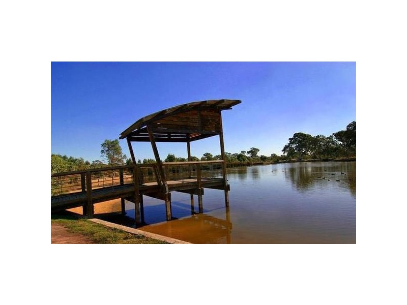 8 Rudd Court, Lynbrook VIC 3975