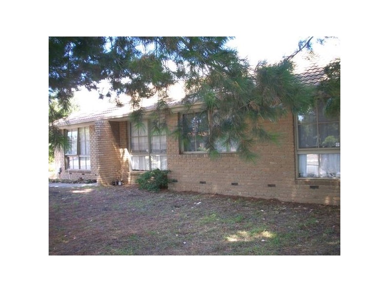 20 Ruffy Drive, Cranbourne VIC 3977