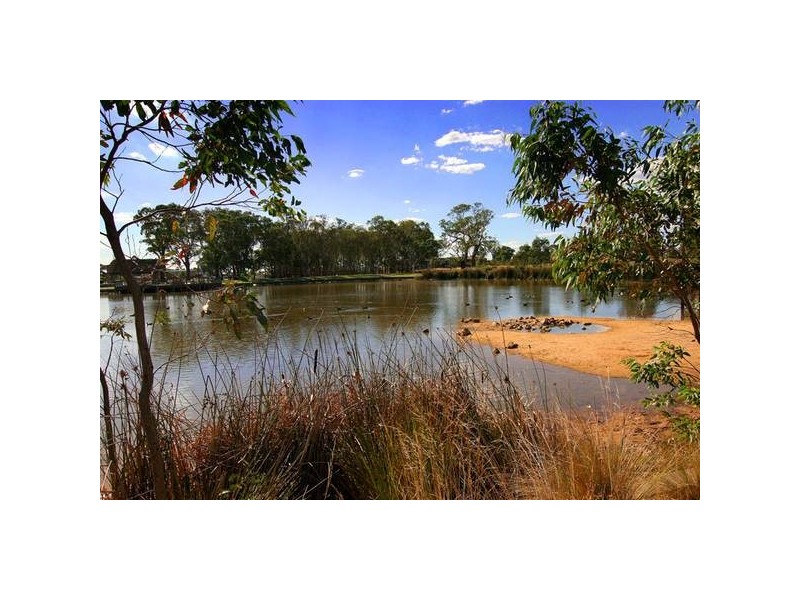 16 Franklin Pde, Lynbrook VIC 3975