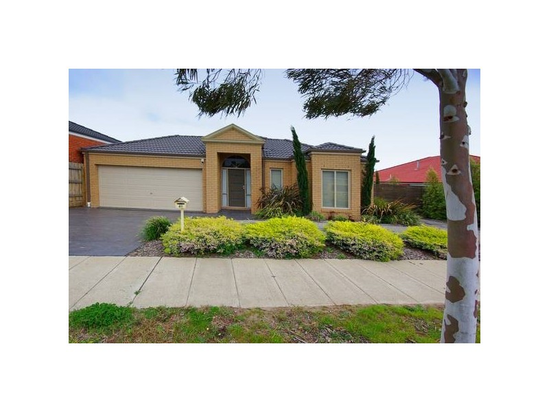 41 Franklin Parade, Lynbrook VIC 3975