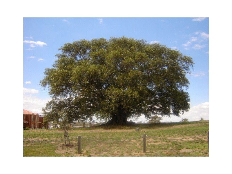 3 Bracken Place, Lyndhurst VIC 3975