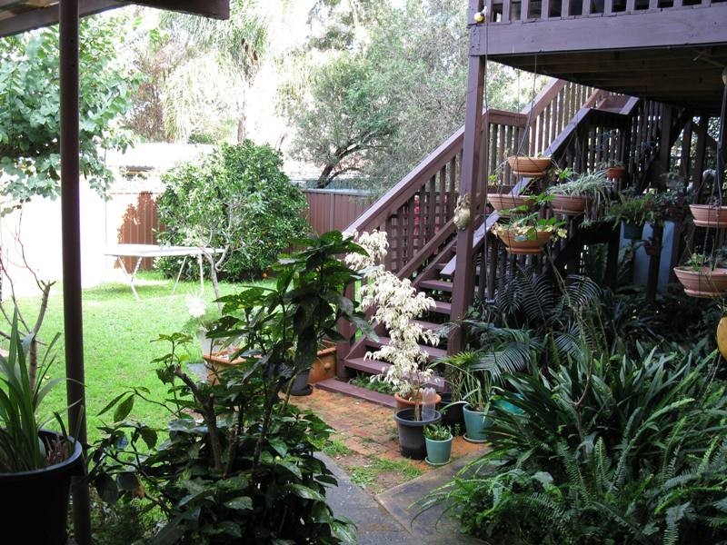 13 Celebes Street, Kings Park NSW 2148