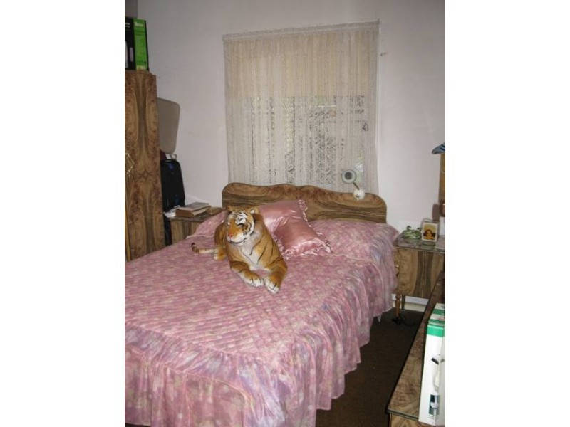 55 Blackett Drive, Kings Park NSW 2148