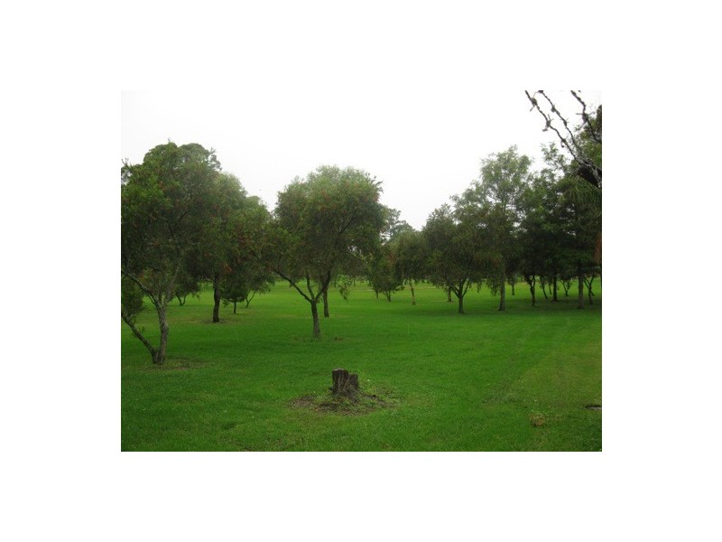 111 RICHMOND ROAD, Blacktown NSW 2148