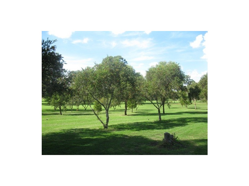 111 RICHMOND ROAD, Blacktown NSW 2148