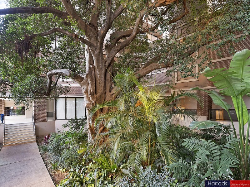 156/13-15 Hassall Street, Parramatta NSW 2150