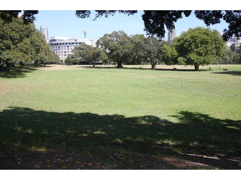 6/74-76 McLachlan Ave, Rushcutters Bay NSW 2011