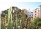 410/261 Harris Street, Pyrmont NSW 2009