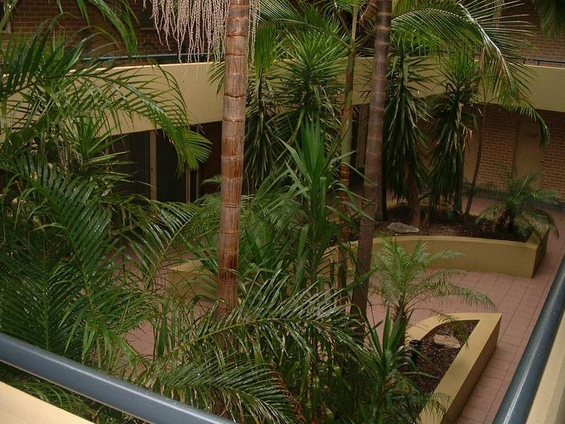 13/146-152 Cleveland St, Chippendale NSW 2008