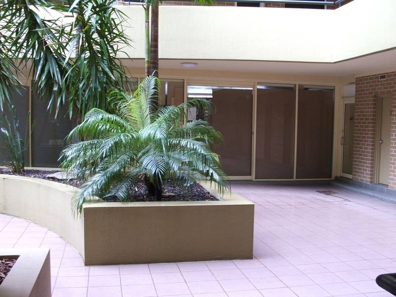 146 Cleveland St, Chippendale NSW 2008