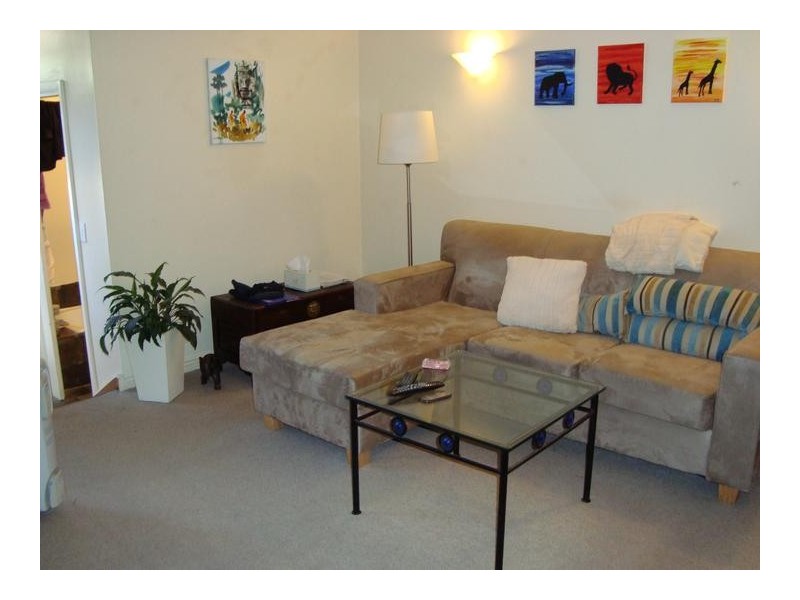 31 Little Mount Street, Pyrmont NSW 2009