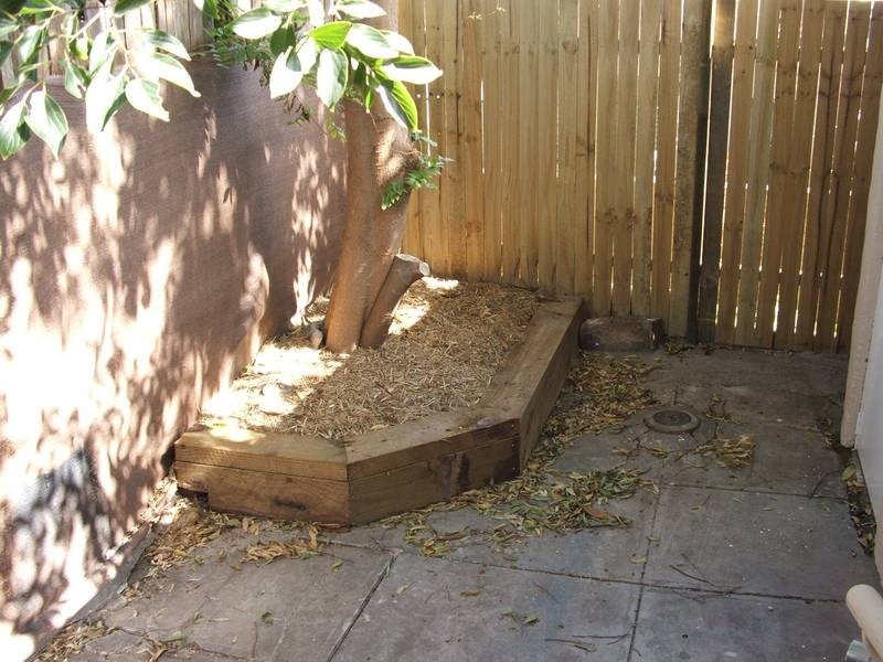 19 Little Mount Street, Pyrmont NSW 2009