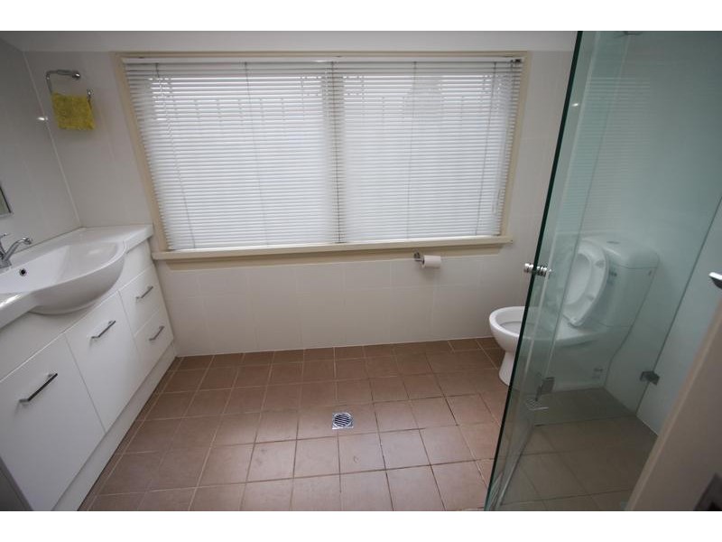 597 Harris St, Pyrmont NSW 2009