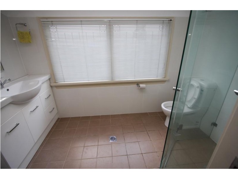 597 Harris St, Pyrmont NSW 2009