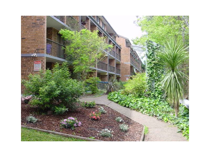 105/313 Harris Street, Pyrmont NSW 2009