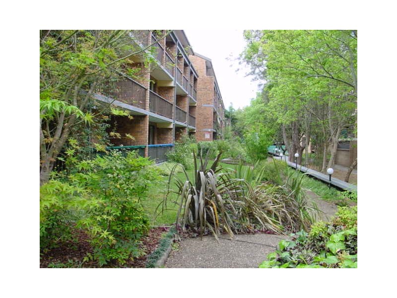 105/313 Harris Street, Pyrmont NSW 2009